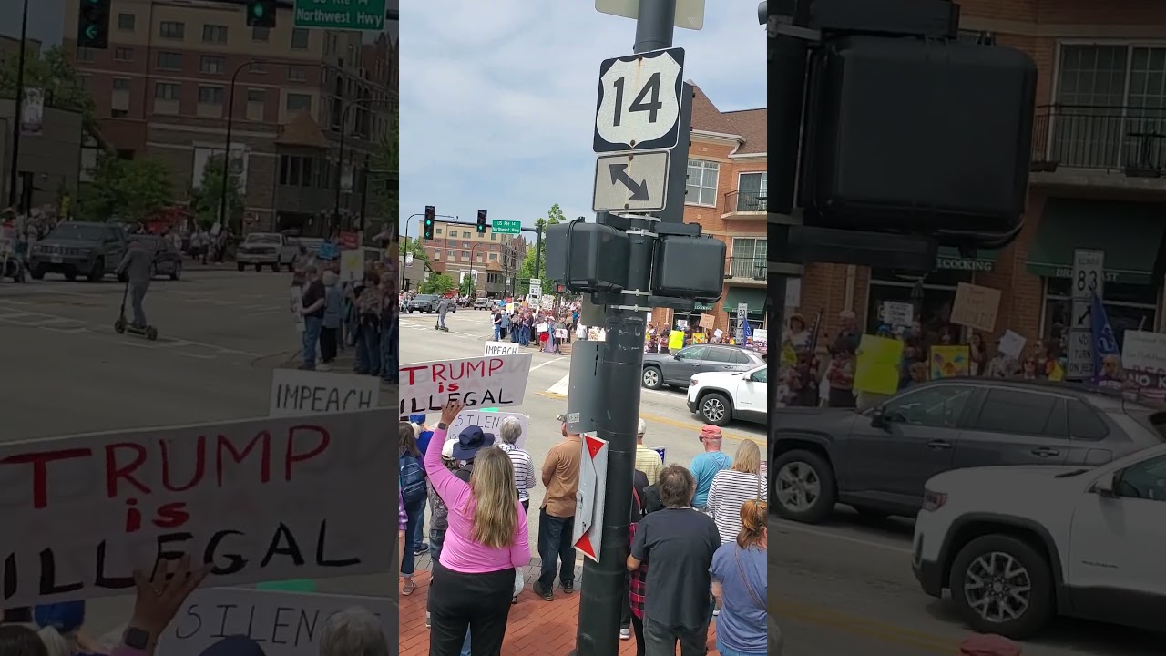 No Kings Day Protest Mount Prospect IL