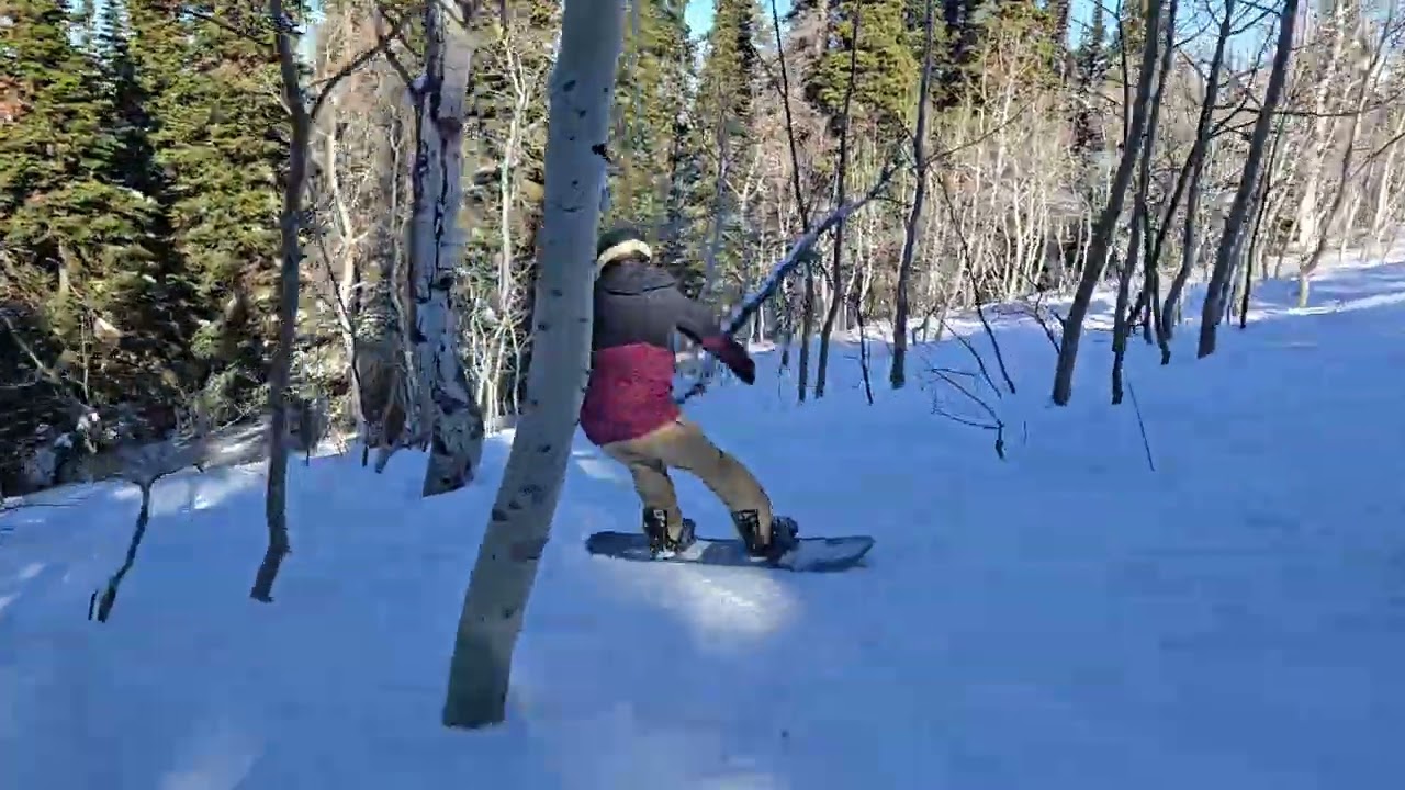 Pomerelle Tree Skiing