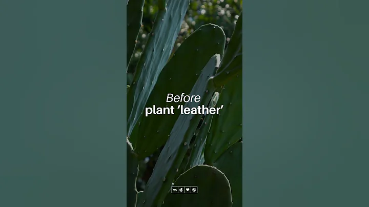 The Truth About Leather