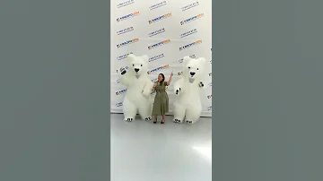 Как надеть костюм медведя #белыймеведь #мишки #аниматоры