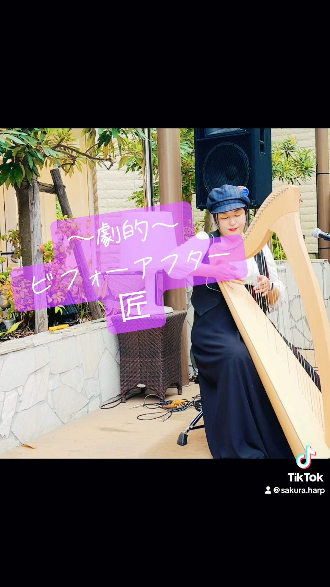 Salvi Harps MIA 34弦 #大分県 #大分市 #ハープ #匠 #島村楽器インスト
