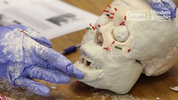Studying Forensics at Wrexham Glyndwr University