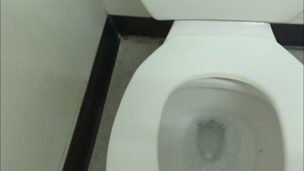 233 Dollar Tree Unisex Restroom YouTube