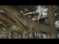 「映像の空気感の正体」について映像ディレクターの市川稜くんと話しました