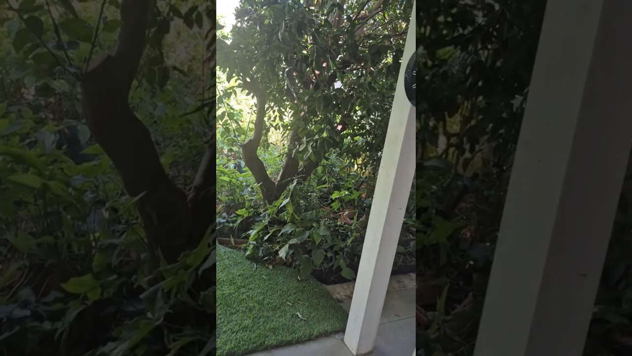מלחמה בקיץ? גאולה ברחמים? זה תלוי בנו - בואו נבחר באמת האלוקית - מיכל שוקר