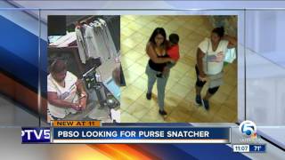 Palm Beach County Sheriff's Office looking for purse snatcher