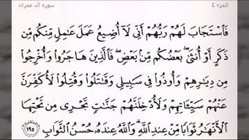 أواخر آل عمران - القارئ الفلسطيني إبراهيم يحيى