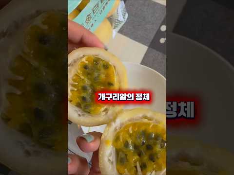 지금까지 먹은 과일 중 일등!!