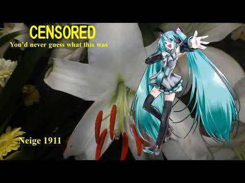 【Hatsune Miku】雪 1911；Snow 1911【Vocaloid 5】初音ミク