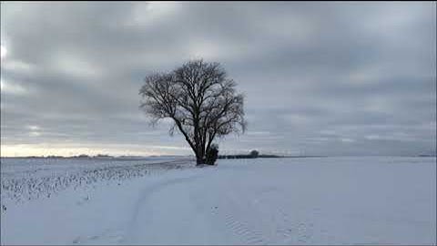 KneToNatoR - Experiment 1-3