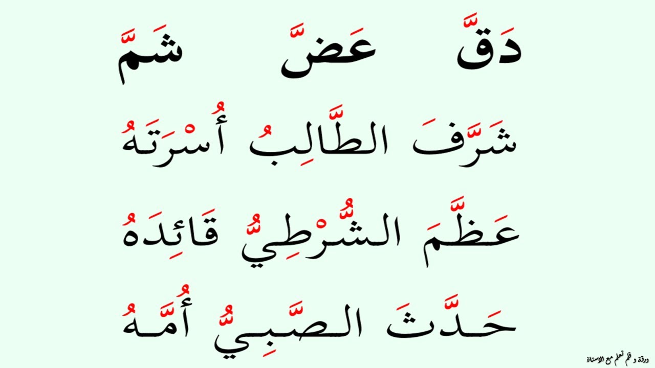 نتعلم قراءة كلمات و جمل تشتمل على الشدة و الحركات القصيرة | الحلقة : ٣٧٢