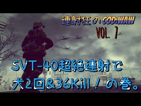 [PS3]連射狂のCOD:WAW TDM(SVT-40) 36-11。