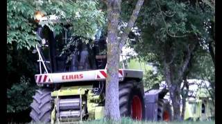 Ensilage De Céréales Immatures