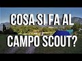 Si fa i tacchini. - YouTube