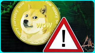 Some Guy Crashed 69% of Public Dogecoin Nodes