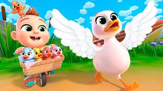 5 Little Ducks & Finger Family Song | Nursery Rhymes