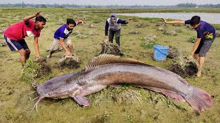 Unique \& Best Fishing ➡️Search \& Catching Big Catfish💖Big Catfish Catching Dry Season🖤Hand Fishing