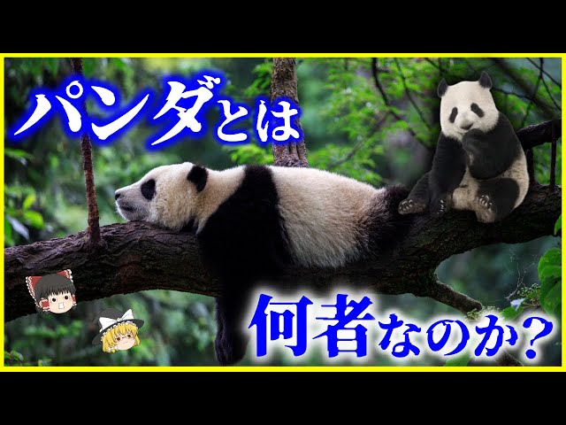 Yukkuri Explanation] The surprising reason why they are black and