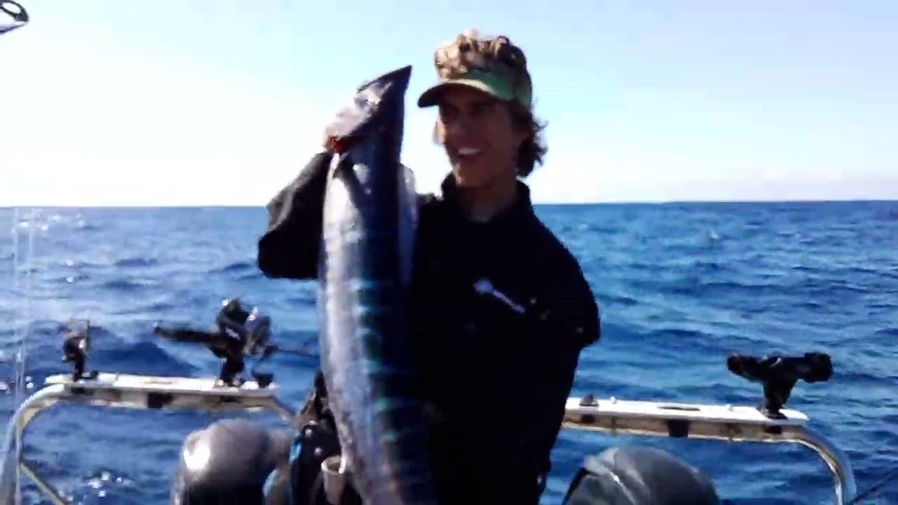 wahoo caught off my boat Michael Joubert