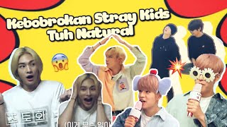 BOBROKNYA STRAY KIDS TUH NATURAL