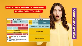 Time To Live (TTL)|What is Time To Live (TTL) in Networking? How Time To Live (TTL) Works?