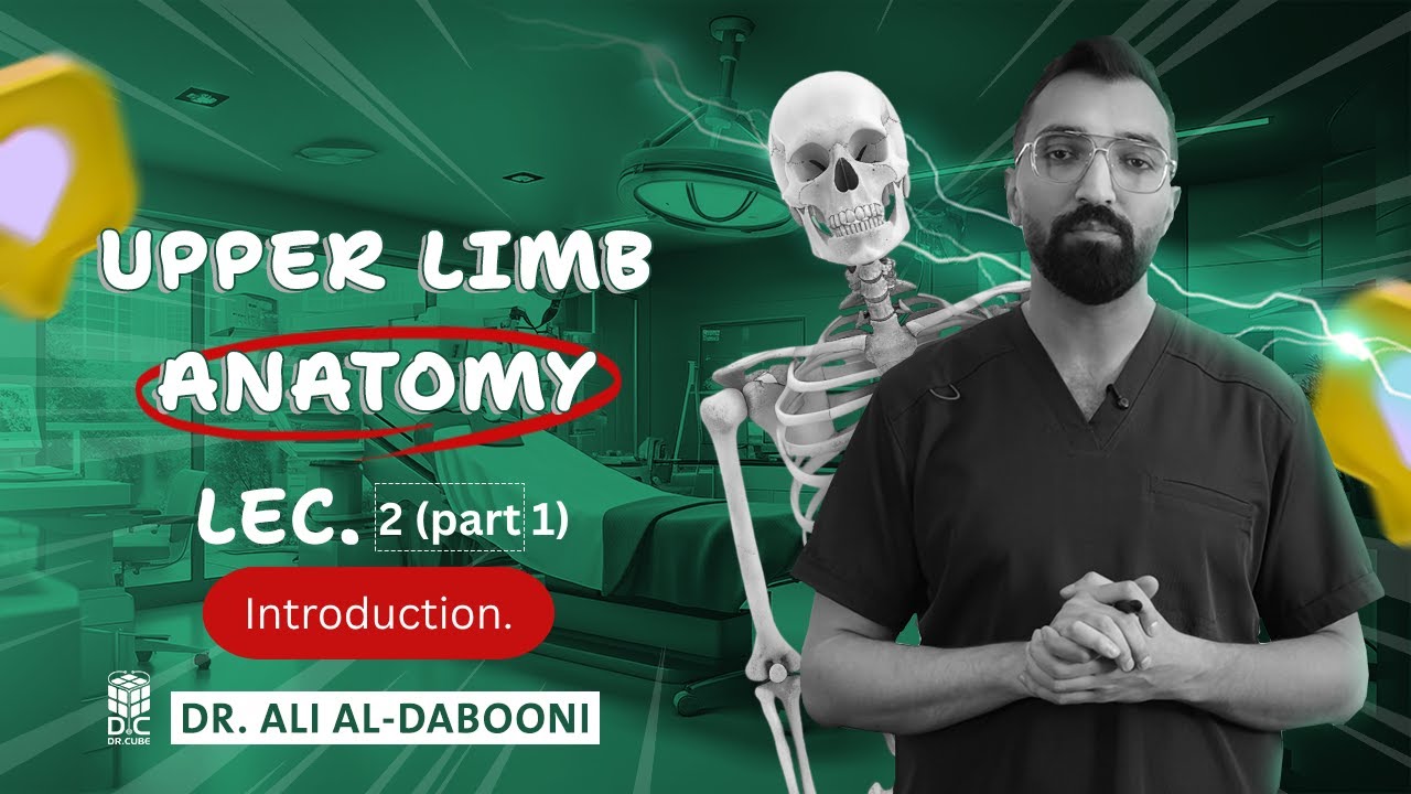 Upper limb anatomy, Lec.2 (part 1), Introduction.