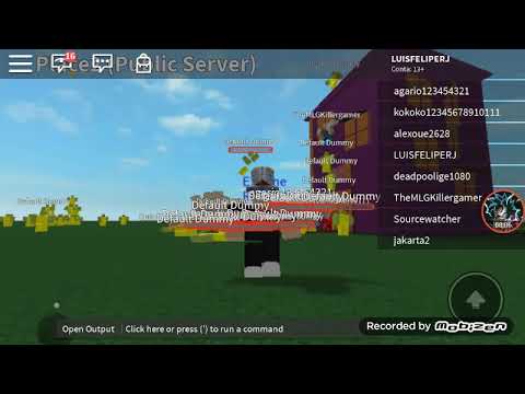 Void Script Builder (Place 2):WYD Form