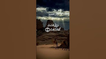 افلا ينظرون الى الابل كيف خلقت//سورة الغاشية_بصوت عبد الباسط عبد الصمد