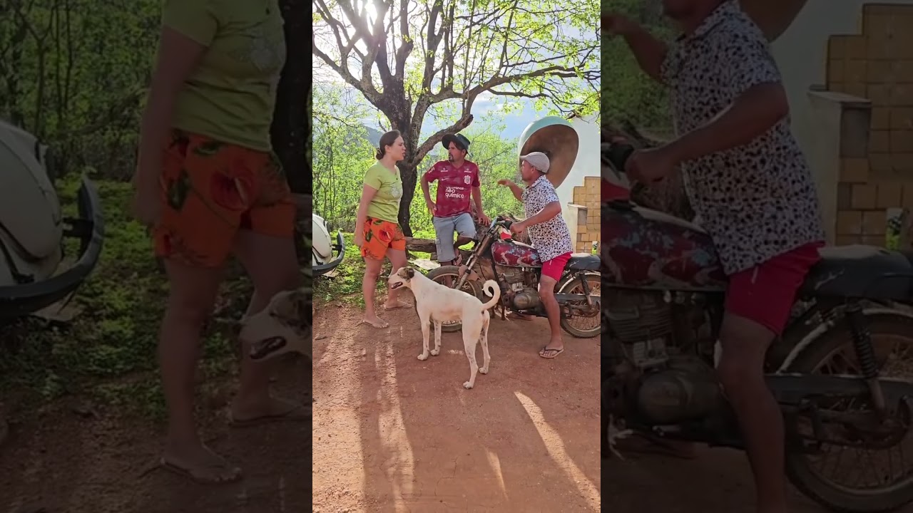 @humoristadaserrariaOfc 