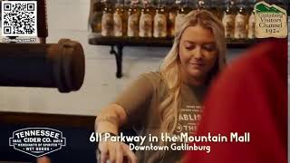 Gatlinburg TV 192 Live Stream