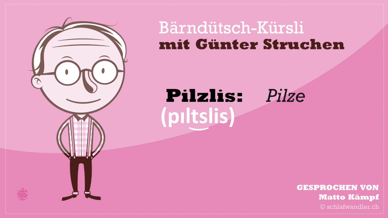 Bärndütsch-Kürsli für Anfänger – Pilzlis