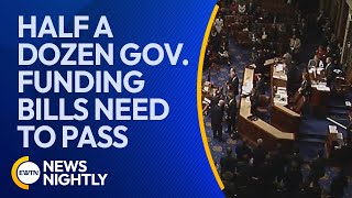 Half a Dozen Government Funding Bills Need to Pass While Lawmakers Go On Break | EWTN News Nightly
