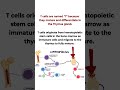 NEET Biology MCQ With Explanation NEET MCQ 