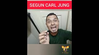 según carl jung