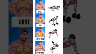 Gym Workout Chest Gym Video
