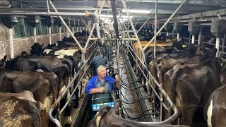 Last Herd Testing
