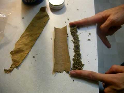 The Tutorial