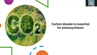 Carbon dioxide is essential for photosynthesis