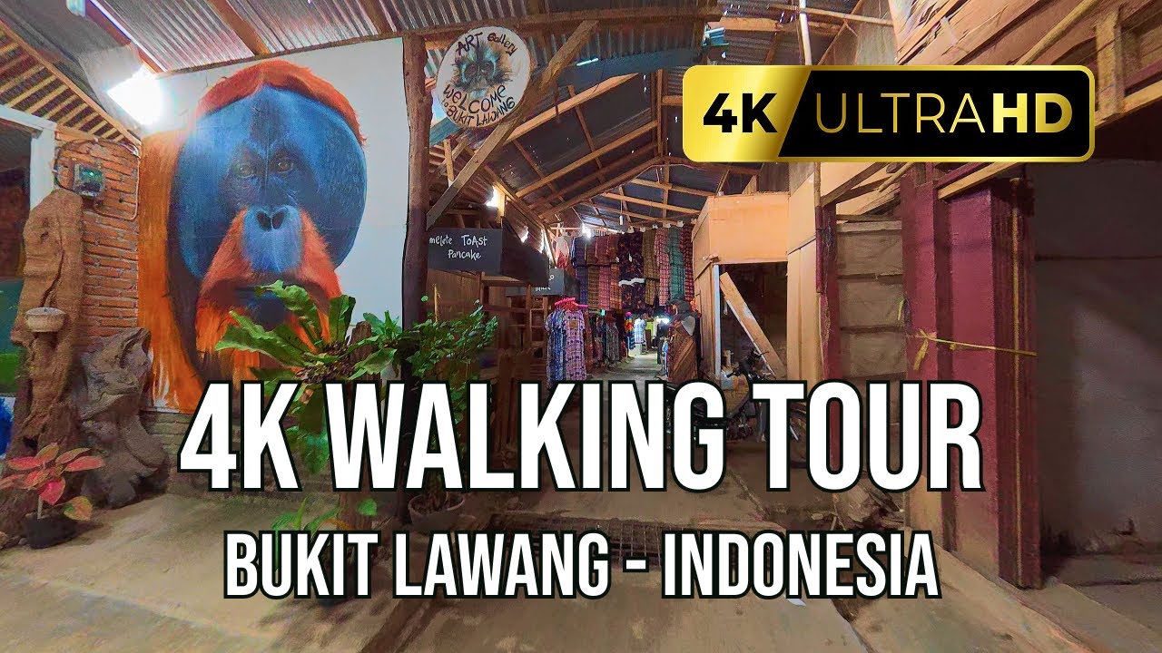 A 4K Virtual Walking Tour Through Bukit Lawang Village | North Sumatra, Indonesia 