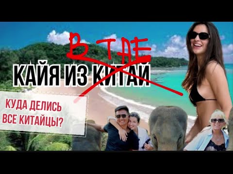 Приключение китайцев в Тайланде🇹🇭 куда пропали все китайцы?? Почему китайцы бакотируют Тай?