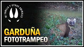 FOTOTRAMPEO de Naturaleza (2019) - GARDUÑA