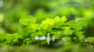 ☀️[playlist] A Party in a Sun-Filled Room✨ 16 Soothing Pop Songs Perfect for the Early Morning 🎧 screenshot 3