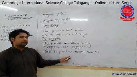 6th - [Science] - Lecture#2 - Muhammad Imran - CISC Online Lecture Series