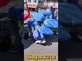 Dinosaur shooting game event production / Stegosaurus Inflatable / 恐竜シューティング ステゴサウルス #Dinosaur
