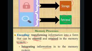 psychology chapter 4 part 1