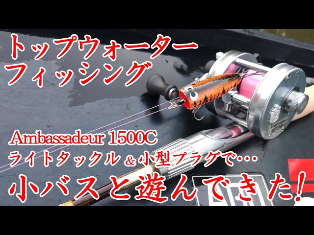 バスフィッシング】トップウォーターで釣る小(子)バス！ アンバサダー