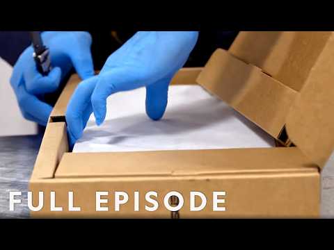 Operaciones Fronterizas: CBP Intercepta Drogas en Múltiples Puertos de Entrada