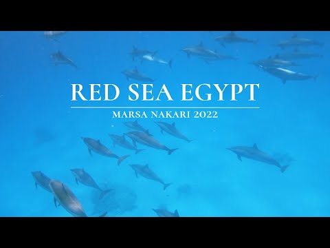 Scuba Diving Red Sea | Red Sea Diving Safari | Marsa Nakari | May 2022
