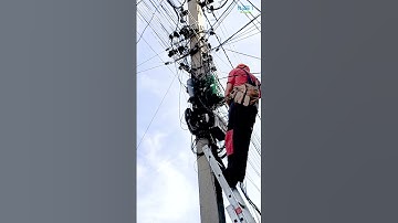 Strong, durable, and weatherproof—upgrade to the Netlink Platinum Distribution Box.