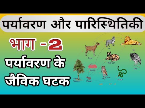 वीडियो: क्या जैविक मांस पर्यावरण के लिए बेहतर है?